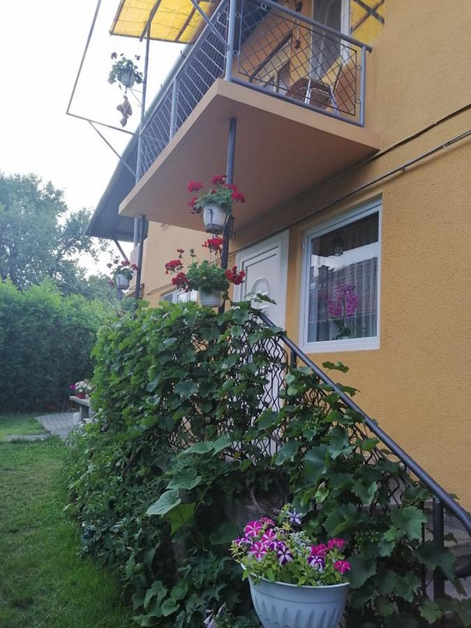 Casa De Oaspeti Orso Sovata Exterior photo