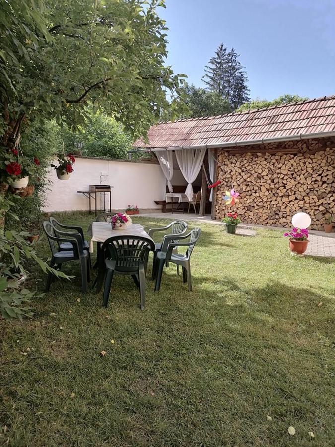 Casa De Oaspeti Orso Sovata Exterior photo